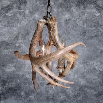 Two Light Whitetail Chandelier