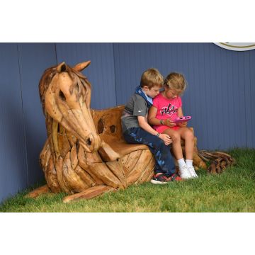 Driftwood Horse Bench © Andrew Ryback