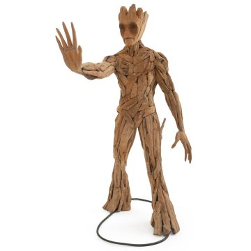 Root Man